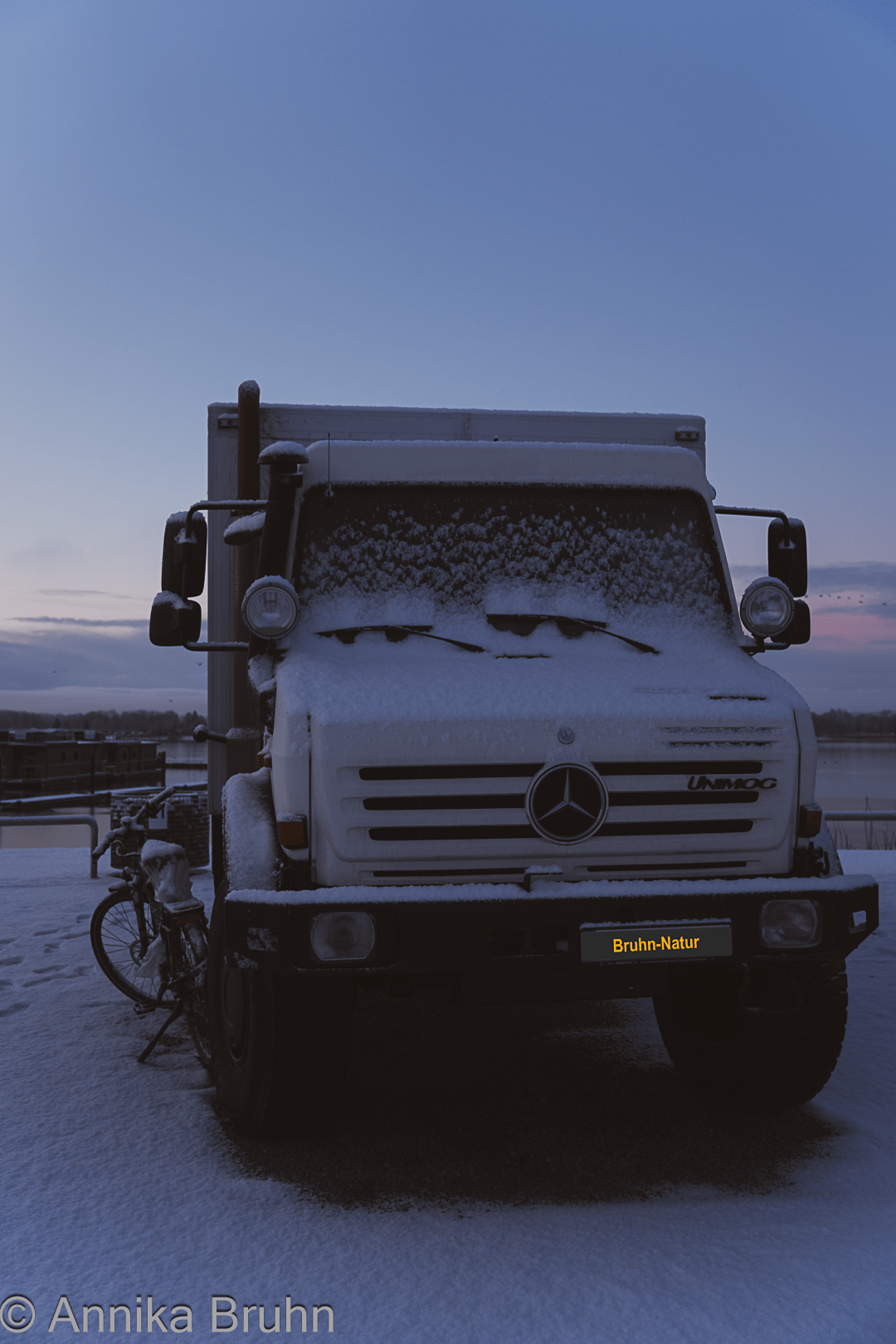 Karl unter einer leichten Schneedecke am Morgen!